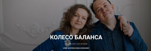 Колесо баланса 2020 (Юрий Чекчурин, Ольга Парханович)