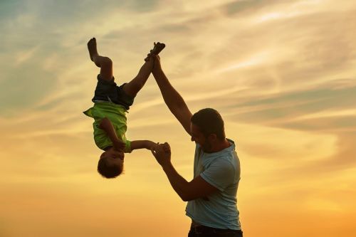 Папа. Основы и решения (Елена Веселаго)