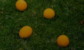 Влияние системы питания ребенка на развитие его психики (Марианна Лынская, Екатерина Несова)