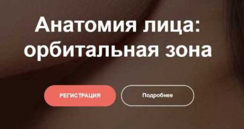 Анатомия лица: орбитальная зона (Ольга Турбина)