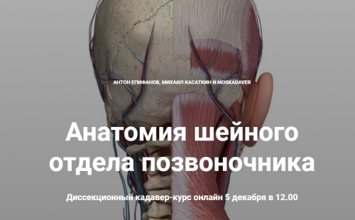 Анатомия шейного отдела позвоночника (Антон Епифанов,Михаил Касаткин)