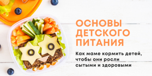 Основы детского питания. Пакет Lite (Анна Бойко)