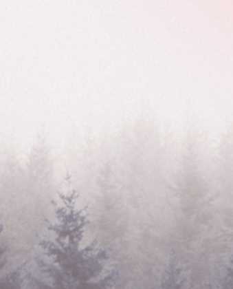 Остеопатия с беременными и детьми (Чикуров Юрий Валентинович)