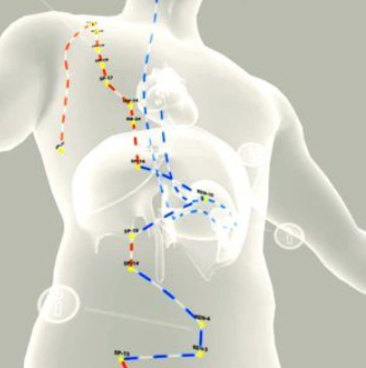 [KBS school] Вебинар. «Дивергентные каналы. Хронические болевые синдромы. Принципы работы. Важные точки» (Евгений Казаков)