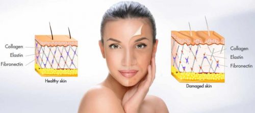 [Первая школа биохакинга] Интегративный взгляд на коллаген (Ирина Баранова)