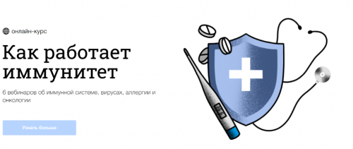 [Синхронизация] Как работает иммунитет (Вячеслав Дубынин)