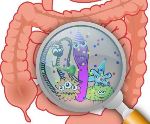 [Школа Светлячков] Восстановление микрофлоры кишечника (Надя Андреева)