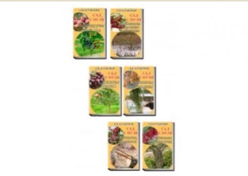 Сад с нуля (Николай Курдюмов)