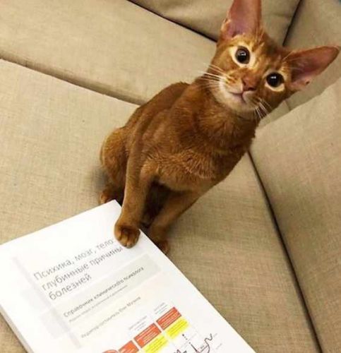 Справочник клинического психолога.Психика, мозг, тело: глубинные причины болезней (Олег Матвеев)