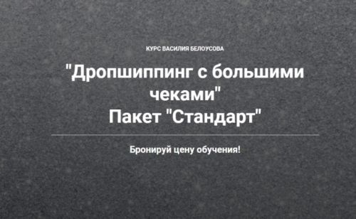 Дропшиппинг на большие чеки 3.0. Стандарт (Игорь Майоров)