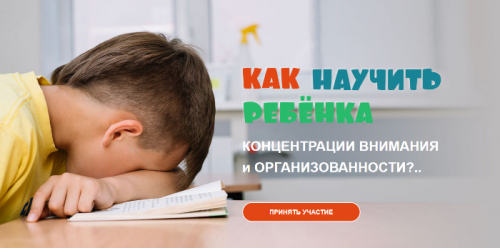 Организационный интеллект. Пакет «Активный» (Ксения Несютина)