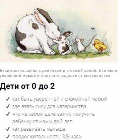 Вебинар Дети от 0 до 2 (Дарья Гинзбург)