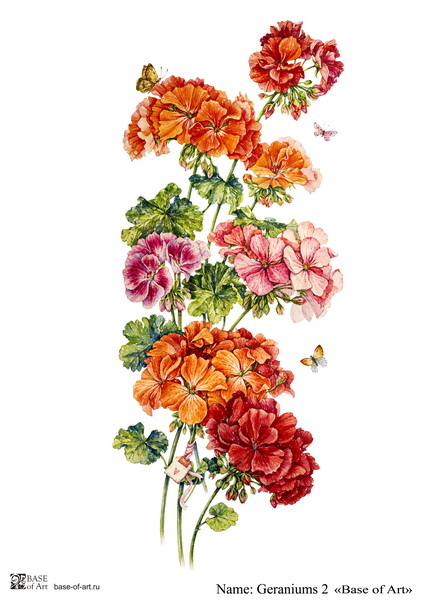 Декупажная карта Base of art, 20*30 см, Geraniums 2