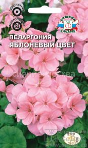 Пеларгония Яблоневый цвет (СеДек)