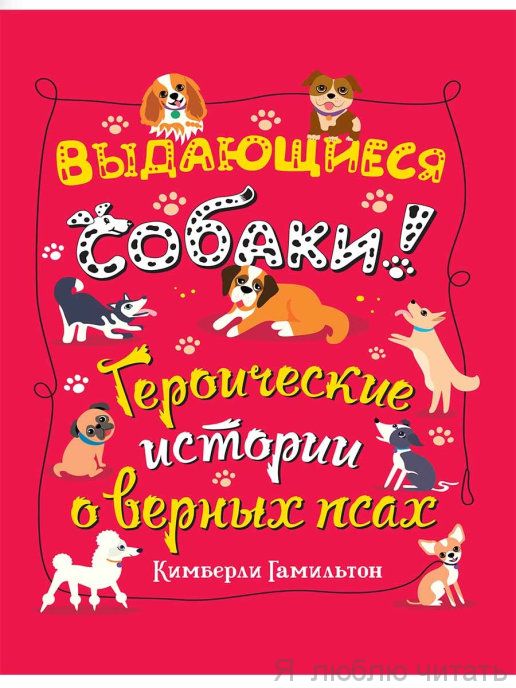 Выдающиеся собаки