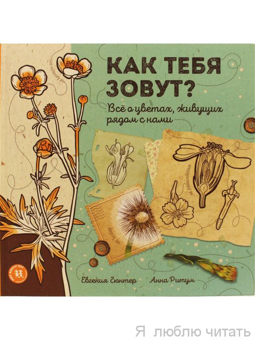 Как тебя зовут?