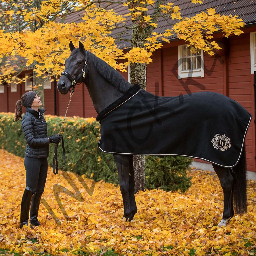 Шерстяная попона для лошади Back on Track Edward