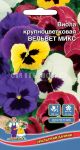 Viola-krupnocvetkovaya-Velvet-Miks-Uralskij-Dachnik