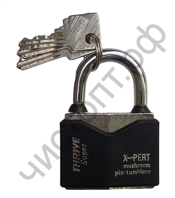 Замок навесной X-PERT цветной 50mm, 3 ключа в компл, в коробке, TNP-365 (6)