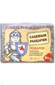 Подарочный набор в чемоданчике. Славным рыцарям