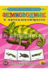 Земноводные и пресмыкающиеся