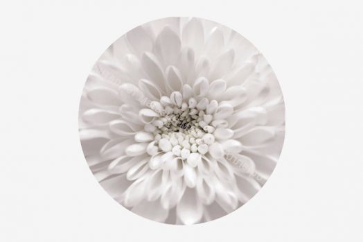 Стол круглый Бостон раздвижной, фотопечать Флоренс/Белый/Хром брифинг