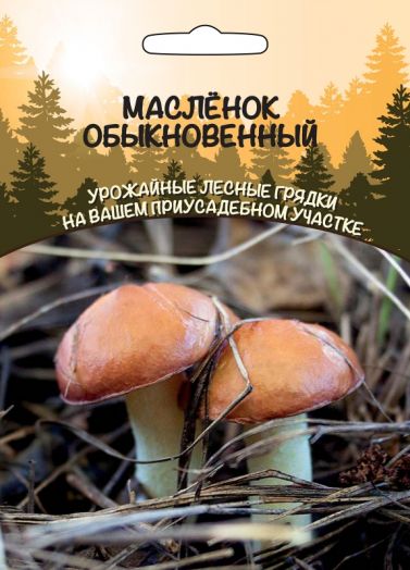 Грибы Масленок Обыкновенный 15гр