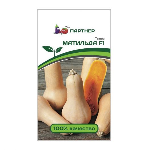 Семена Тыква Матильда F1 5шт/10