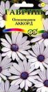 Osteospermum-kapskaya-margaritka-Akkord-Gavrish