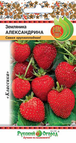 Семена Земляника Александрина 0,05гр