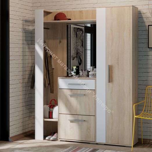 Шкаф для одежды «Нуар» тип 1  (Дуб Сонома/Белый ясень)