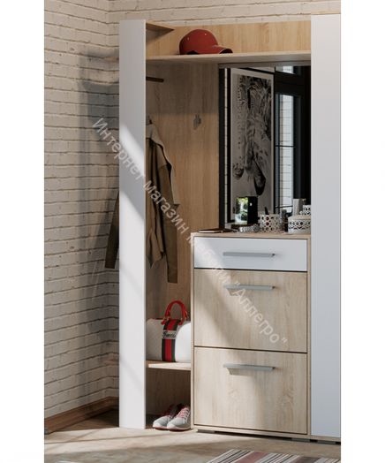 Шкаф для одежды «Нуар» тип 1  (Дуб Сонома/Белый ясень)