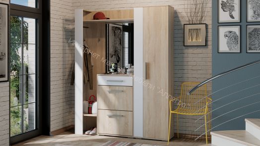 Шкаф для одежды «Нуар» тип 1  (Дуб Сонома/Белый ясень)