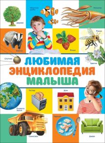 Любимая энциклопедия малыша - Клюшник Л. В.