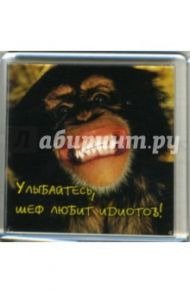 Магнитные подарочки. Улыбайтесь, шеф любит... (М-429)