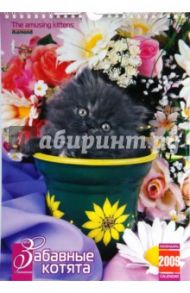Календарь 2009 (КР4-09001) Забавные котята (мал.)