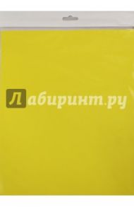 Бумага цветная тонированная двусторонняя, 10 листов, ярко-желтая (С3036-05)