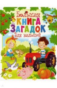 Большая книга загадок для малышей