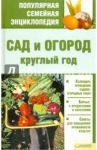 Сад и огород круглый год / Цветкова Мария Всеволодовна