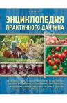 Энциклопедия практичного дачника / Вечерина Елена Юрьевна
