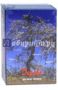 Дерево как образ человека / Кац Галина Борисовна, Мухаматулина Екатерина Александровна