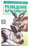 Разведение кроликов