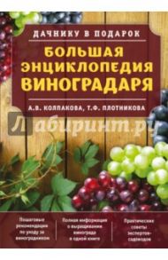 Большая энциклопедия виноградаря / Плотникова Татьяна Федоровна, Колпакова Анастасия Витальевна