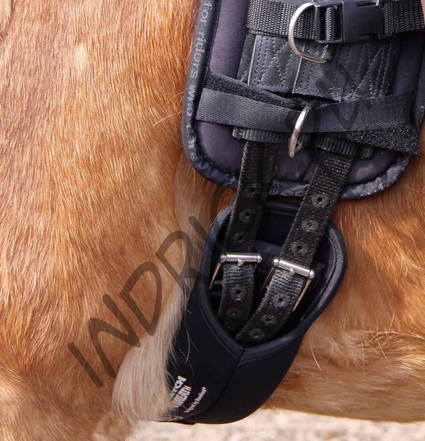 Эластичная подпруга Stretch & Breath