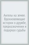 Ангелы на земле. Вдохновляющие истории о дружбе, предназначении и подарках судьбы / Шрофф Лора