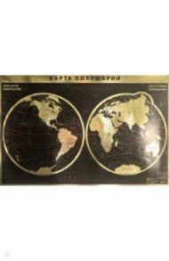 Интерьерная карта Мира/полушарий (физическая) GOLD