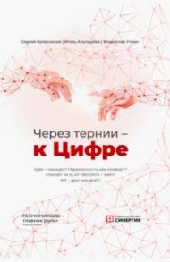 Через тернии — к Цифре / Колесников Сергей Анатольевич, Альтшулер Игорь Григорьевич, Уткин Владислав