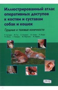 Иллюстрированный атлас оперативных доступов к костям и суставам собак и кошек. Грудные и тазовые / Латорре Р., Гил Ф., Климент С.