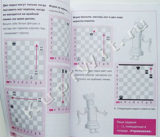 Литманович: зачем надо учить детей шахматам?