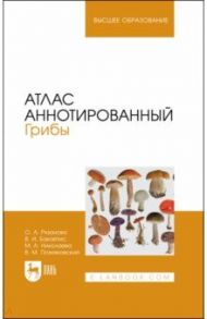 Атлас аннотированный. Грибы. Учебное пособие для вузов / Николаева Мария Андреевна, Позняковский Валерий Михайлович, Рязанова Ольга Александровна, Бакайтис Валентина Ивановна